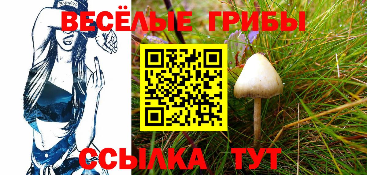 Псилоцибиновые грибы GOLDEN TEACHER Сальск